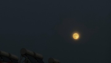 7E254526-EE90-4241-9CB6-96C9C2C77348/L0/001