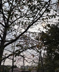0F76D53C-9E29-4E61-A12D-B93E2915BB31/L0/001
