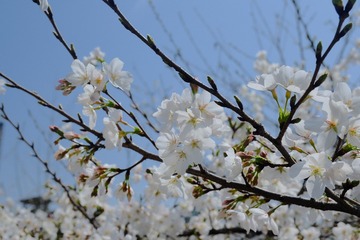 CC826893-7601-4A46-89B5-6F88C59DF278/L0/001