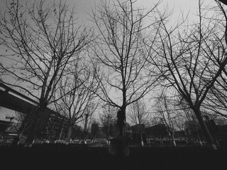 DE5CF918-7016-4EE4-B3C3-72BEE768958F/L0/001