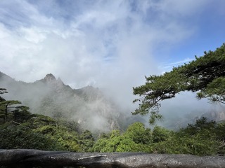 E0513343-8D3C-47F9-B6D7-7FD5447E565B/L0/001