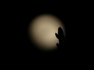 904EB712-447B-430D-A7EC-C7D53E0CC2AA/L0/001