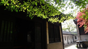 3E29D4B6-205B-45A6-9B9B-377E4AD76A98/L0/001