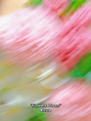 C02F562C-F8FB-418C-9186-A4E04C442364/L0/001