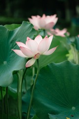 B61A7556-C573-4977-B223-4DB8748D32F2/L0/001