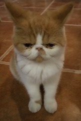 92557