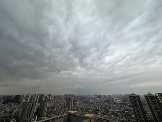 36905D3A-82C3-4B6F-948E-CE94E00F5BA1/L0/001
