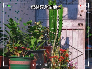 80945969-42B5-4C45-A5A5-EBDC4F8E97F7/L0/001