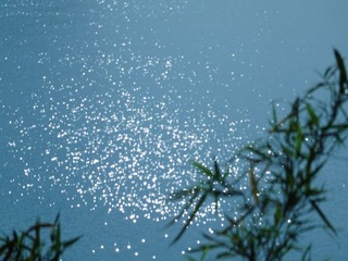 44FFAE7B-EDA2-41AE-AE12-92D53FA86056/L0/001