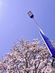 B25F980A-A0B1-4D67-9D93-E8993602FB39/L0/001