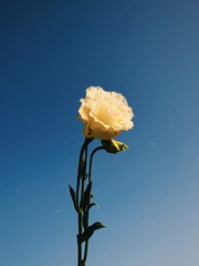 6F6AF9D3-6A44-4B04-9C0D-9845D1D2CC30/L0/001