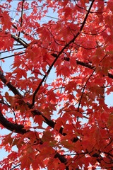 61C73A10-4CFE-43C1-8E72-33B5F9BC45B6/L0/001