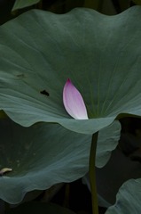 1000032011