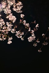 0A26B6D7-8E27-431B-996F-299CA555FBFB/L0/001
