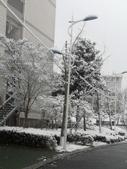 2015272