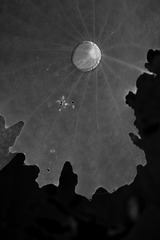 1000032689