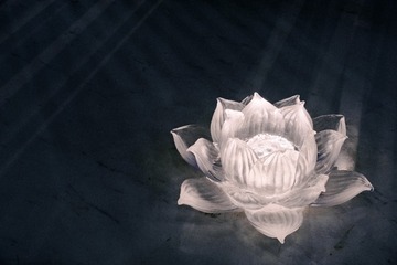1000056757