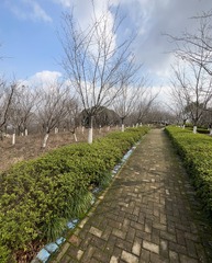 DAB3E06C-126B-4A38-88CD-23F33D6AE517/L0/001