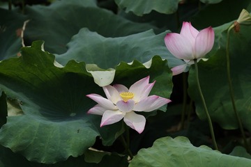848387D1-17D0-472B-BD58-8202737938D8/L0/001