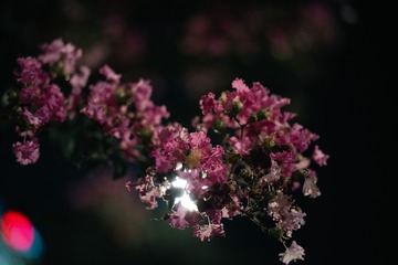 4FA1FFDC-99FA-4351-B766-B2D7AC005B60/L0/001