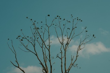 9AF808F7-A0A0-4DB2-A303-F8BEAB5146D5/L0/001