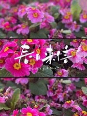 D6131081-E48F-479D-A70B-9584A722B464/L0/001