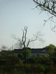 CE77E0BF-9004-4F1C-B576-B12912F6AC01/L0/001