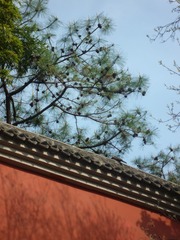 2076357C-8B87-4957-B37D-451EED9C87BF