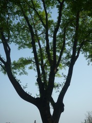 BB6683D3-05BF-48E5-86F7-A3579D272BAE/L0/001