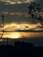 C98D935F-5264-4773-B4CA-76104A133901/L0/001