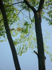 F2CB7F5C-0888-444C-96FB-D46E0F4ABF1B/L0/001