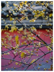 E87F34E9-F9AD-4911-A68A-60551F6BBC75/L0/001