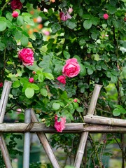 17FF73D7-D1EB-4134-999A-F04564122A2B/L0/001