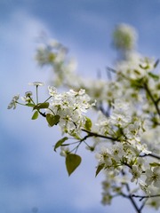 3B8B270C-A7ED-4AEA-80C2-12C935F16EE3/L0/001