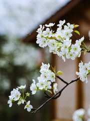 CA827F64-EF80-47BC-A9A8-F0A281C1ABA8/L0/001