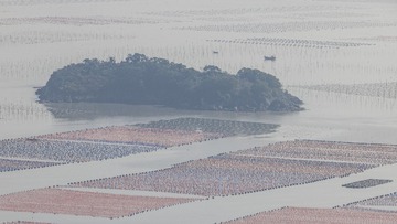 1000067064