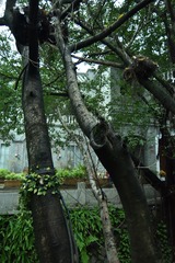 DF08D7A3-483C-4569-B328-CB9979AB60A4/L0/001