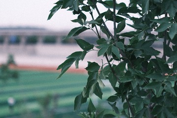 912A8CF1-1BC5-4B5A-95C4-EF41C1F85934/L0/001