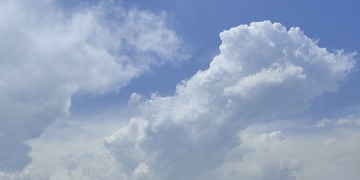 1000953771