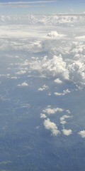 1000057503