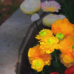 8903DBC4-346F-40ED-8D35-82D9FB2D6D6D/L0/001
