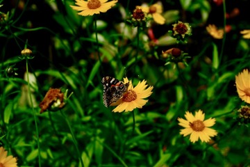 F49BEC01-EF85-47B4-8737-9E6F4A9153E7/L0/001
