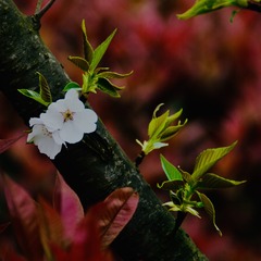 AE2F57F4-7A39-4CF6-B906-57E937142091/L0/001