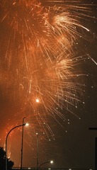 D82544B3-87B0-4DC6-8666-AE3568137C12/L0/001