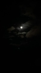 4F92E26D-EBB6-4F11-9720-7616DF6F2BD1/L0/001