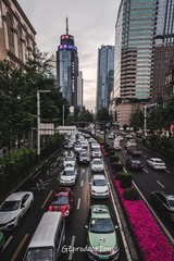 E98358F0-B196-4580-8C47-CCC7CD37BA21/L0/001