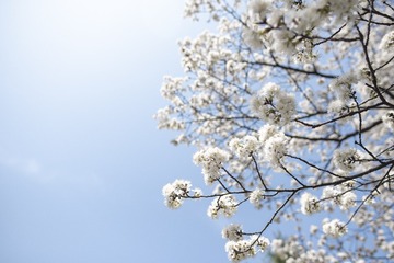 MXX_9688