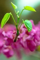 E27922F1-4D4F-48AA-9724-85C19788FA8E/L0/001