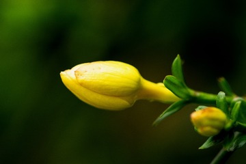 0E37AC7D-2B5E-4A3B-8758-39BA7B709718/L0/001