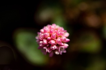4F1E304E-02CA-42C5-818D-D2812E48166A/L0/001